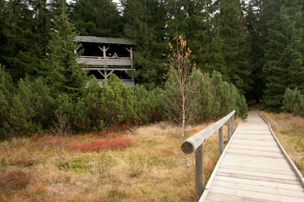 Náhled Jezerní slať